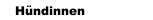 H&uuml;ndinnen